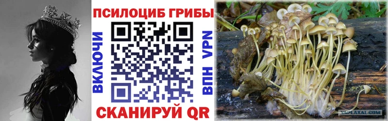 Псилоцибиновые грибы Psilocybine cubensis  Купить где  Ирбит 
